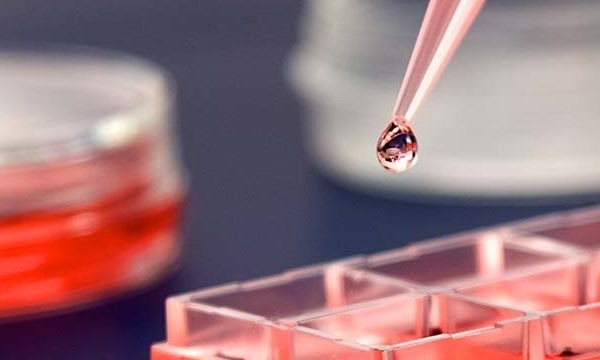 NanoOne позволяет печатать из живых клеток