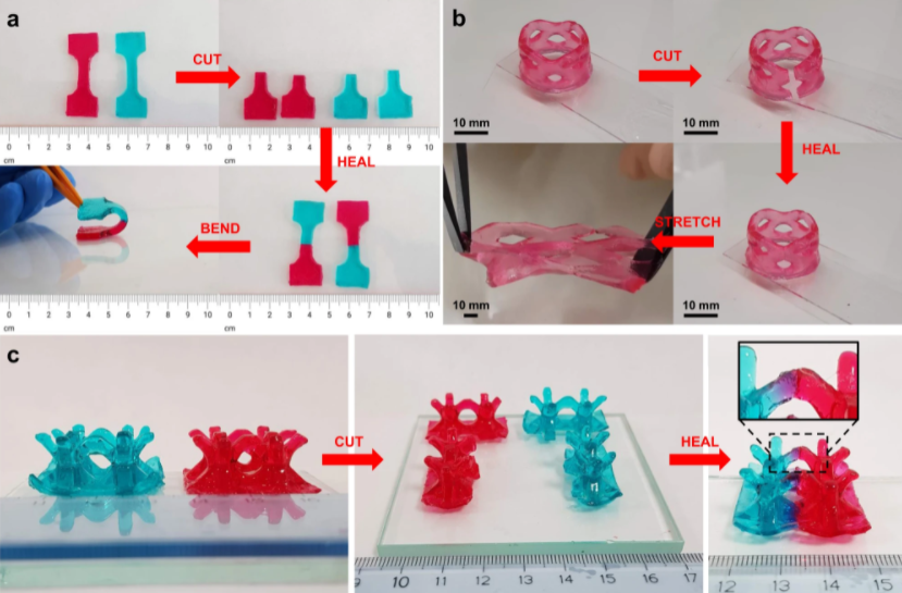 Исследователи разработали мягкий материал с регенерацией для 3D-печати