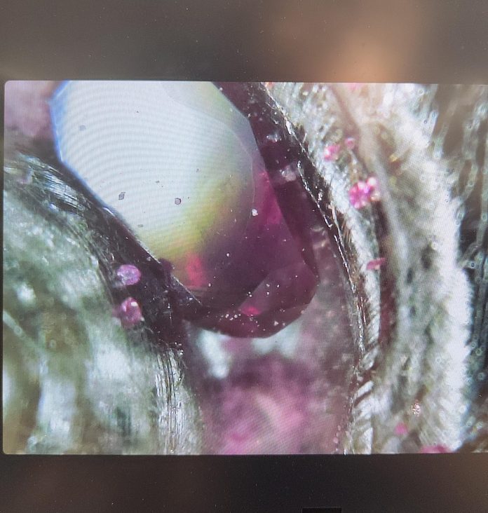 hybrid_3d_printing_ruby_inside_platinum
